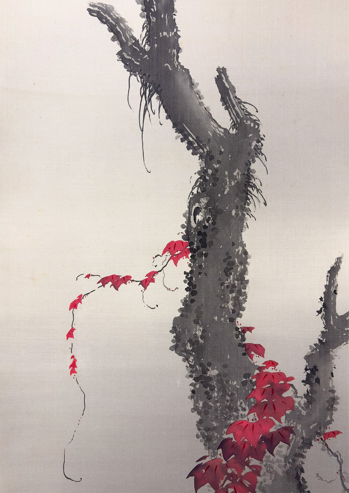 今尾 景祥 【紅蔦鵯】 掛軸 詳細写真