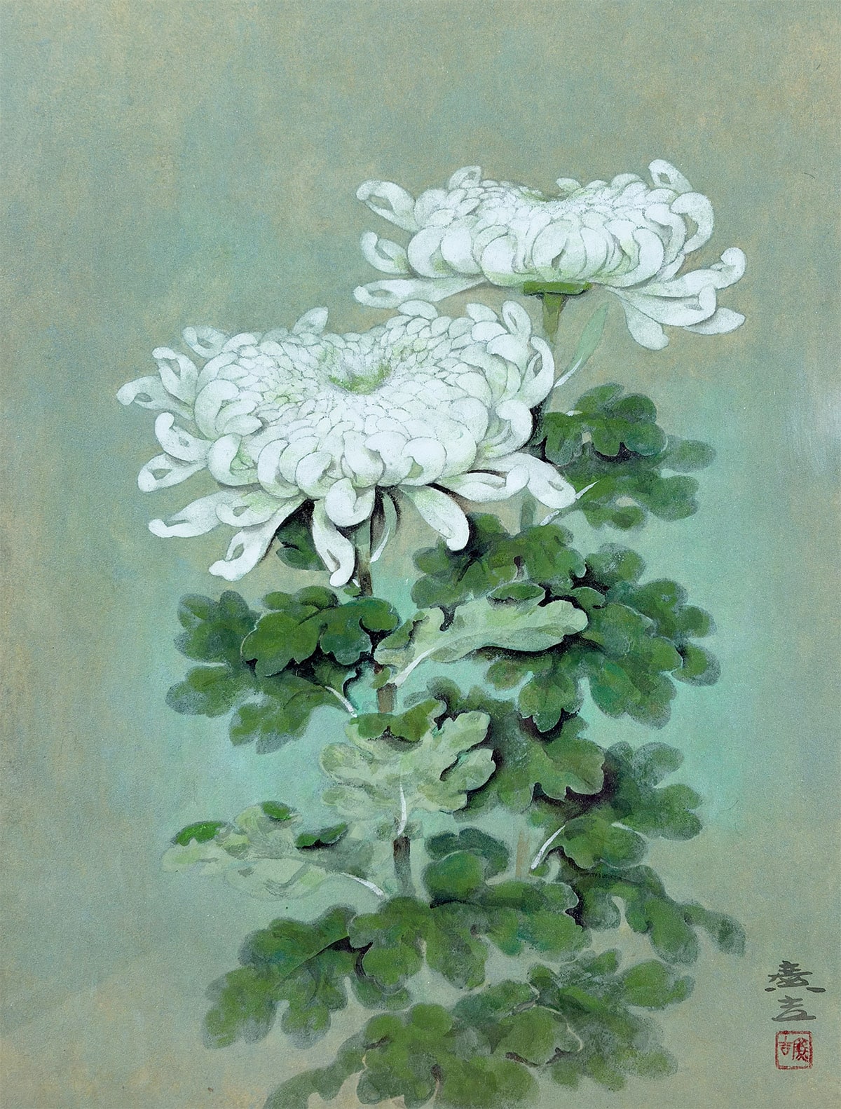 木村 広吉 【菊｜額（10号）】 絵画・額装 詳細写真