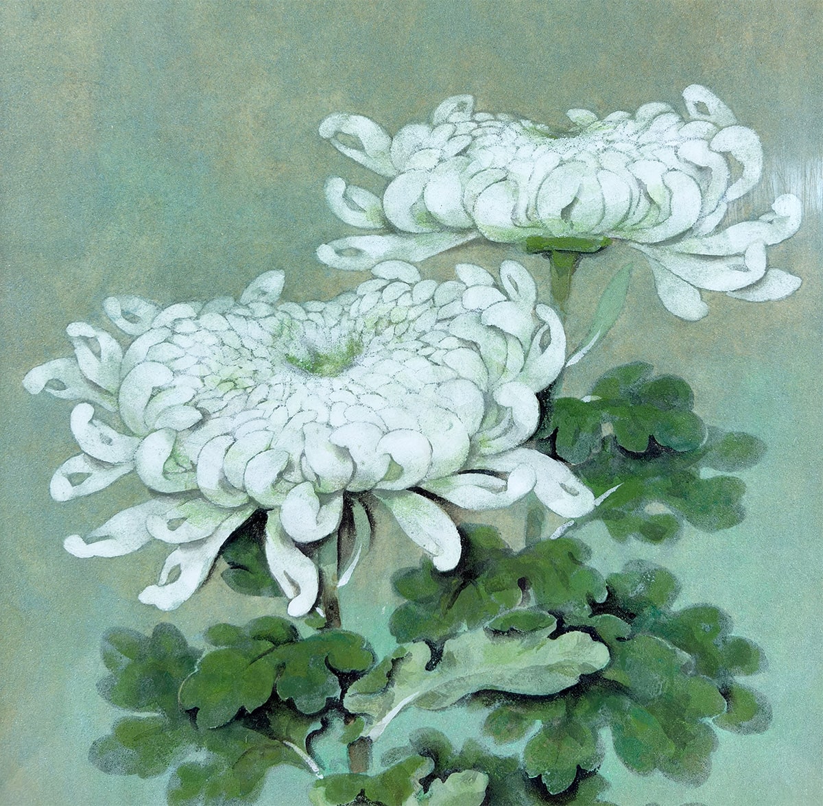 木村 広吉 【菊｜額（10号）】 絵画・額装 詳細写真