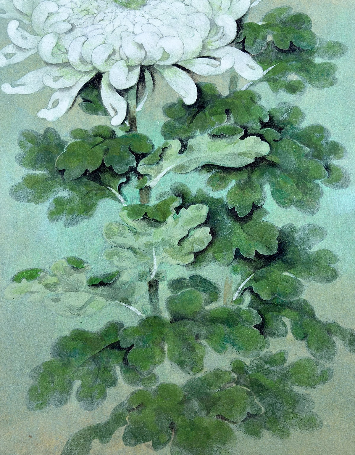 木村 広吉 【菊｜額（10号）】 絵画・額装 詳細写真