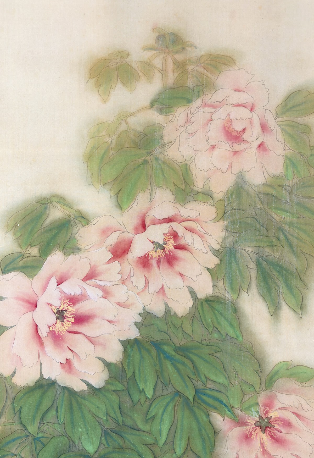 野々内 保太郎 【富貴花】 掛軸 詳細写真