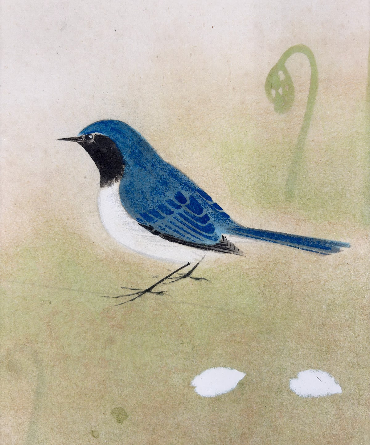 野々内 保太郎 【和良比に瑠璃鳥｜色紙】 色紙・短冊 詳細写真