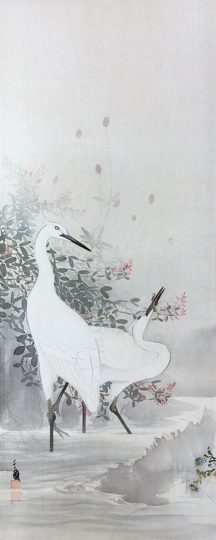平井 呉鳳 【白鷺】 掛軸 詳細写真