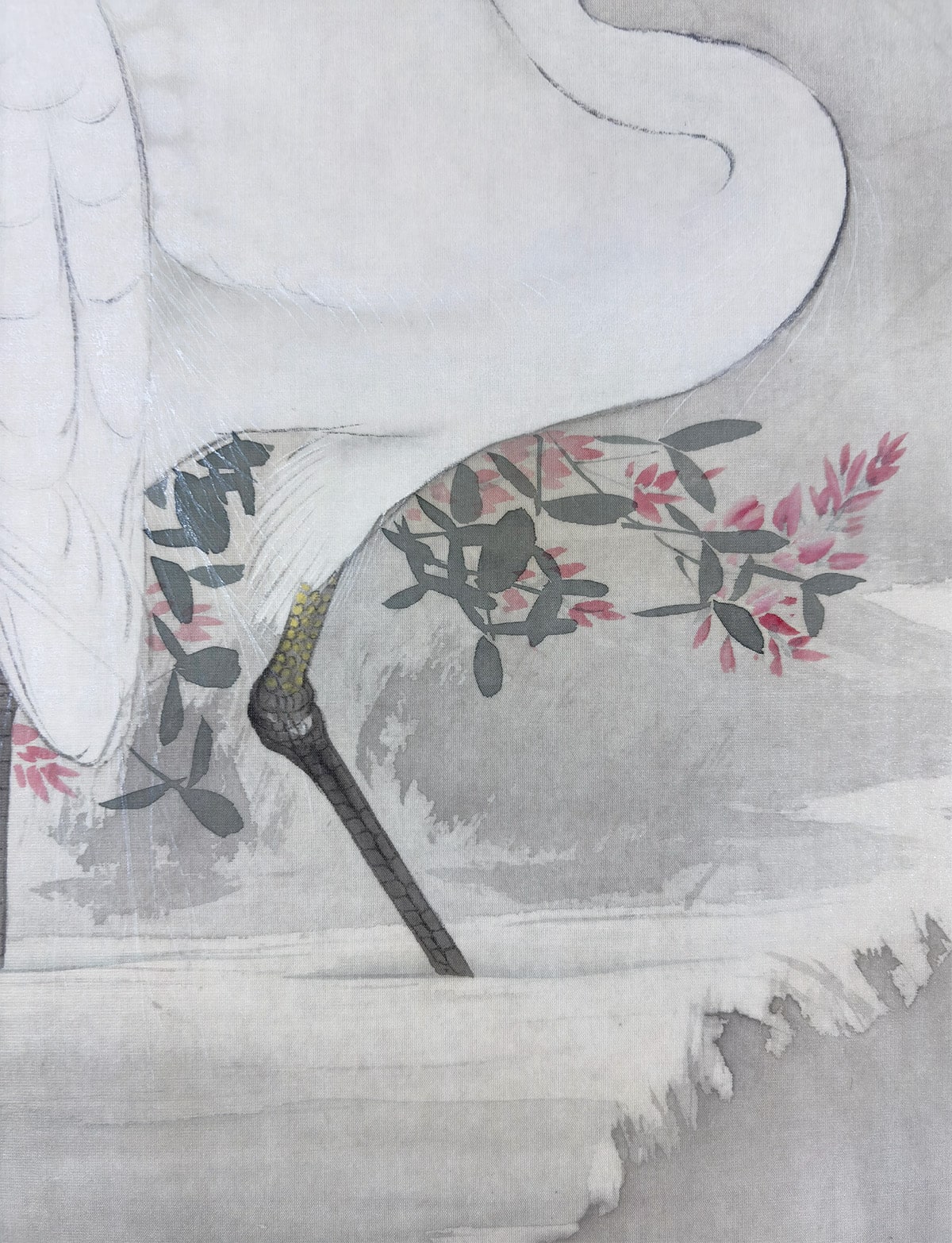 平井 呉鳳 【白鷺】 掛軸 詳細写真