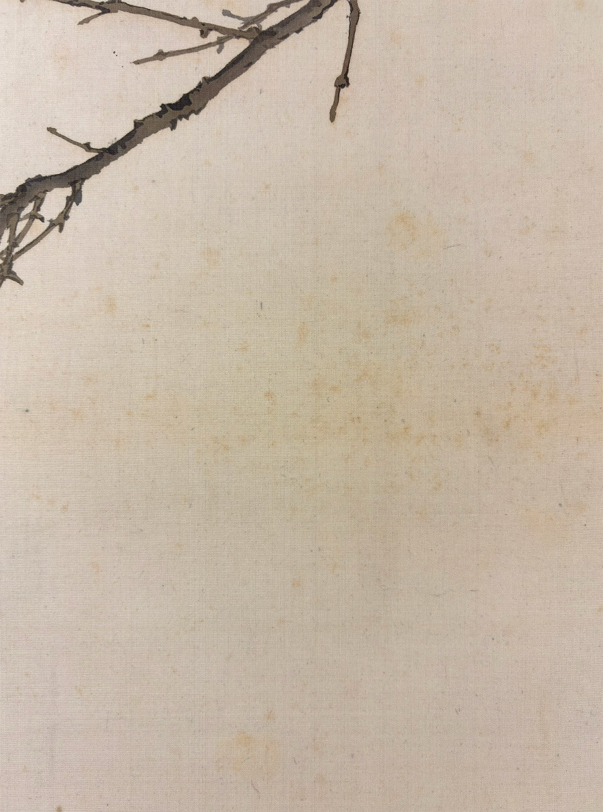 丹麗 【柘榴】 掛軸 詳細写真