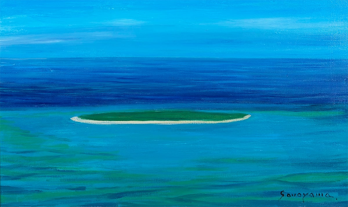 園山 幹生 【南太平洋 グリーン島｜額（油彩・M8号）】 絵画・額装 詳細写真