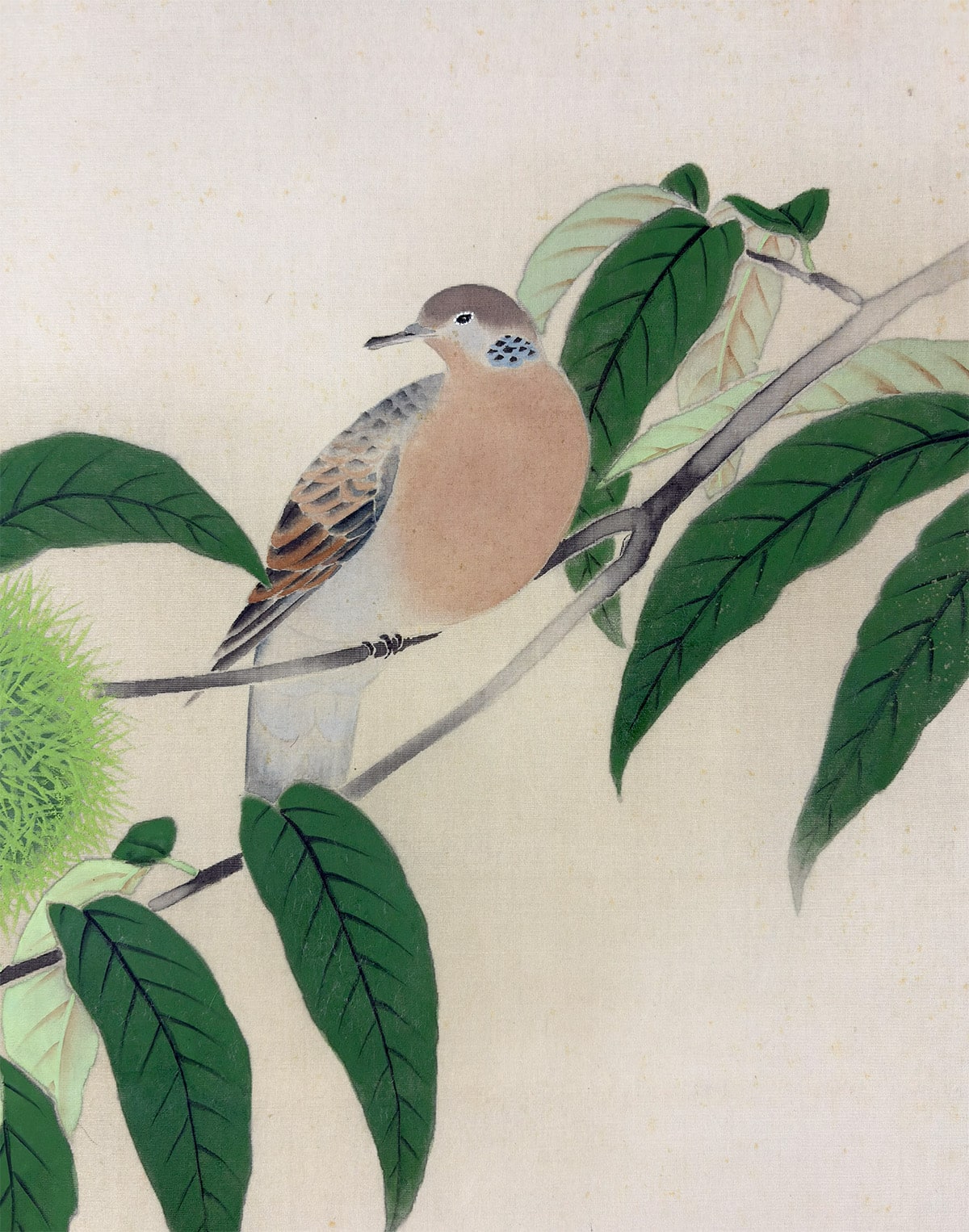 信雄 【栗に鳩】 掛軸 詳細写真