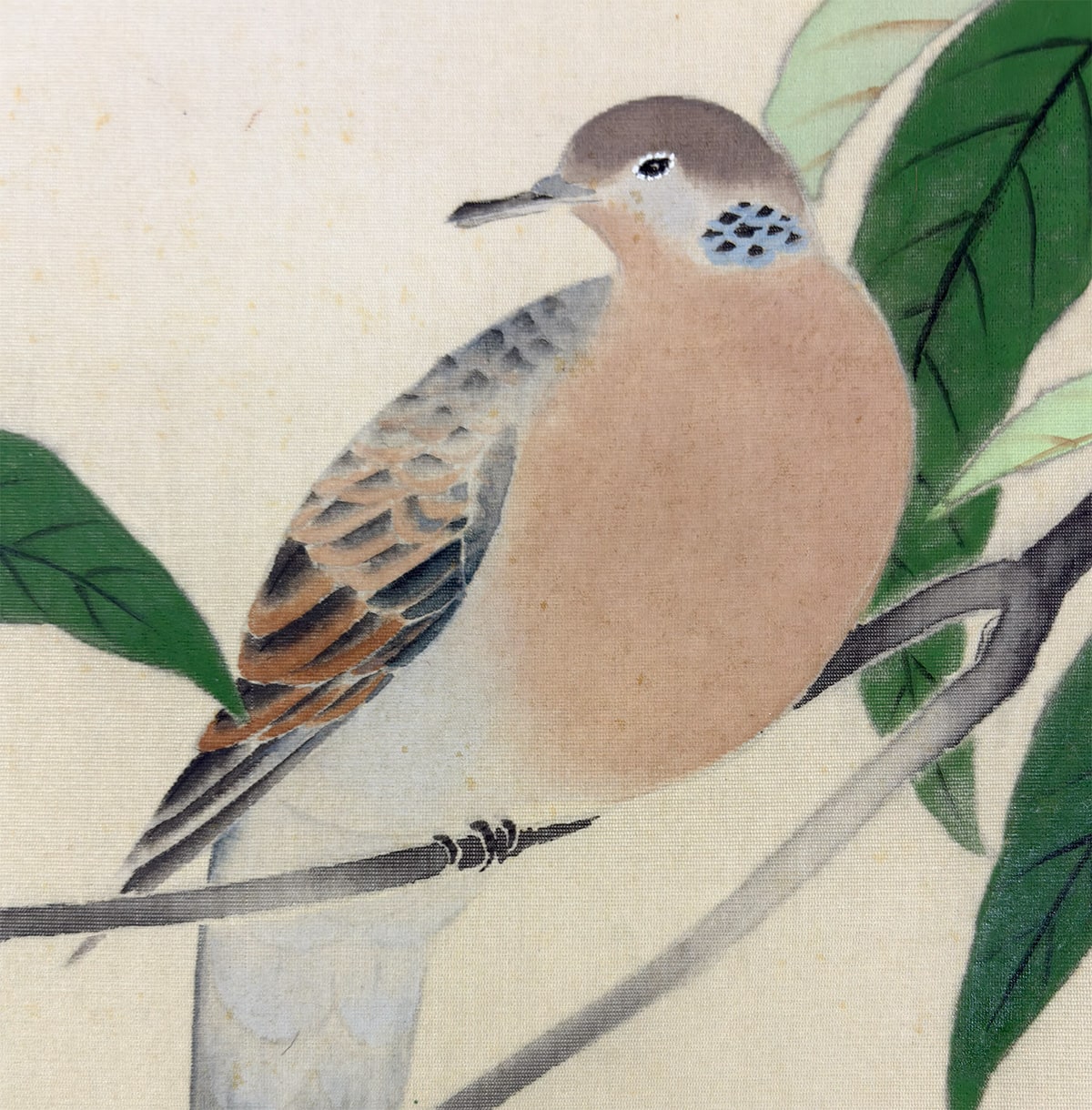 信雄 【栗に鳩】 掛軸 詳細写真
