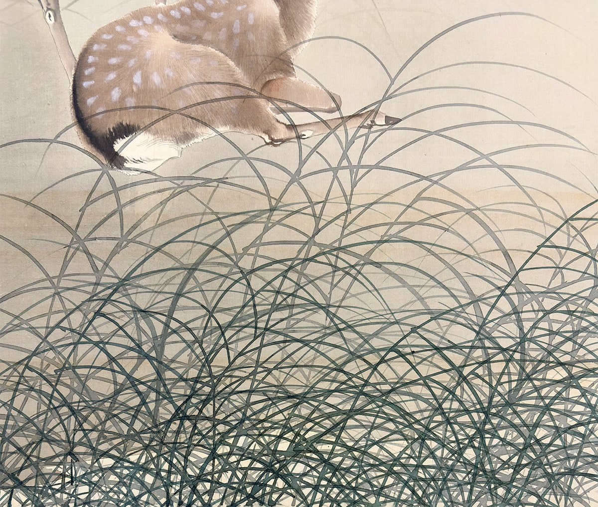 吉村 鳳柳 【麋鹿（びろく）】 掛軸 詳細写真