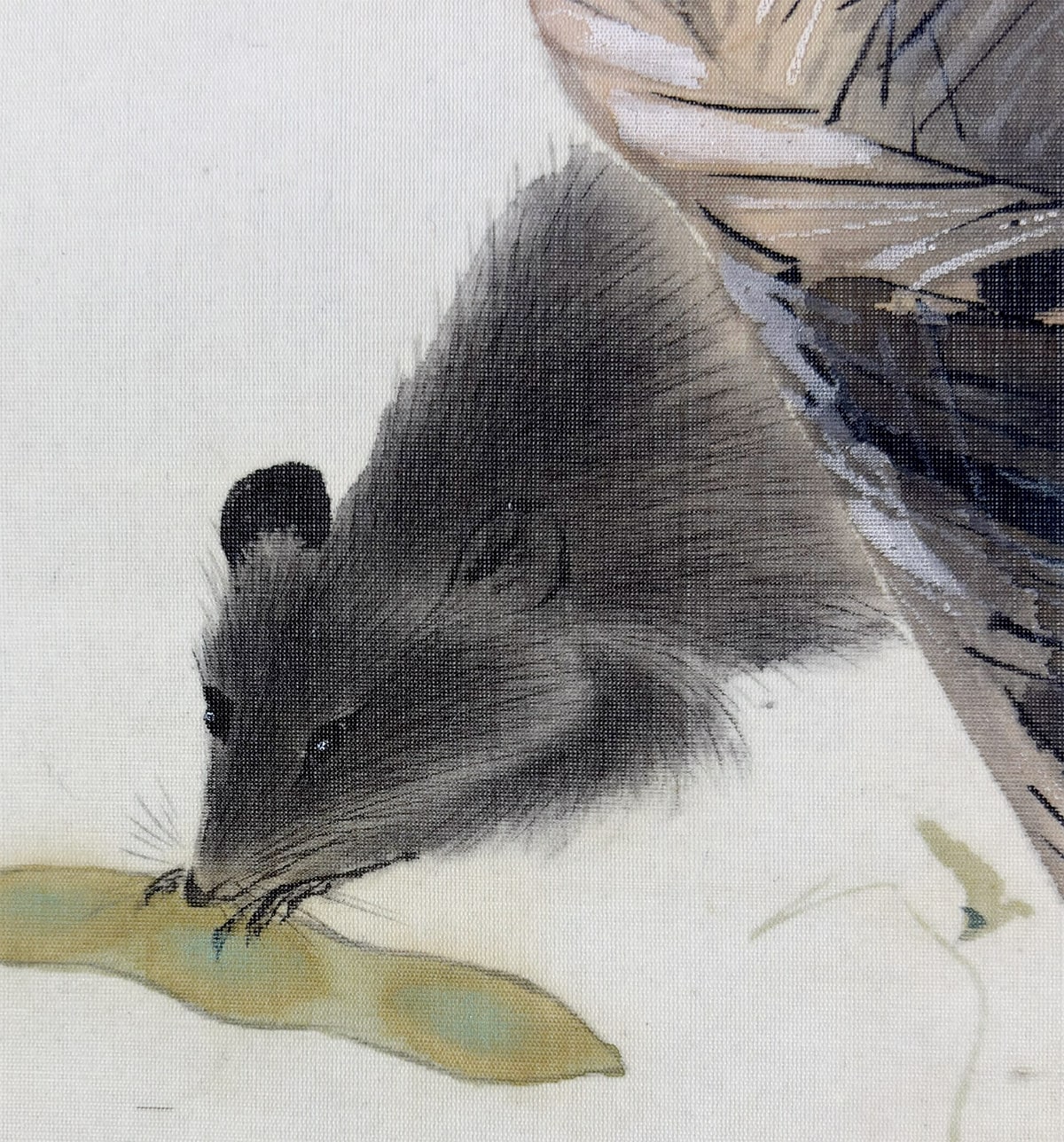 西村 五雲 【むきかご（鼡）】 掛軸 詳細写真