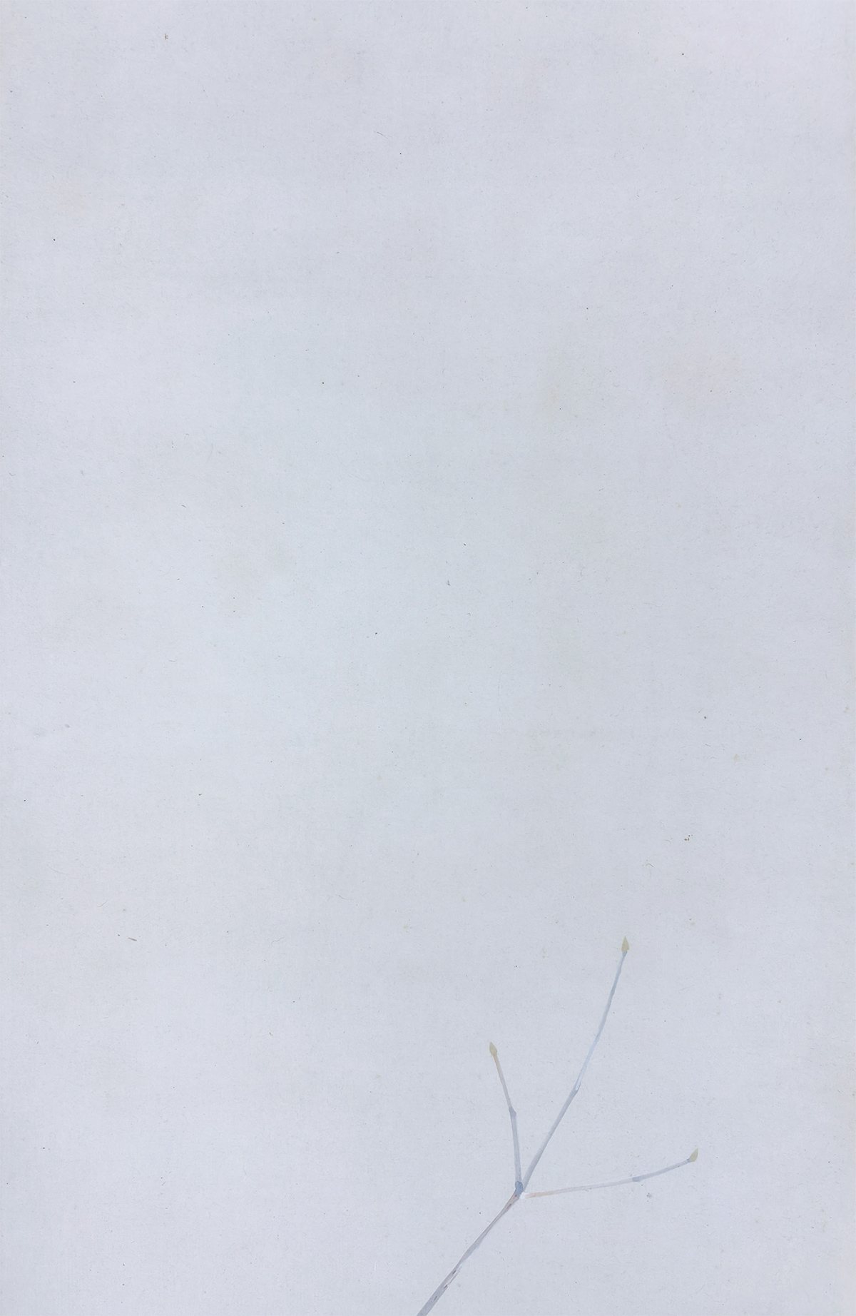 高田 美一 【野茨小禽】 掛軸 詳細写真