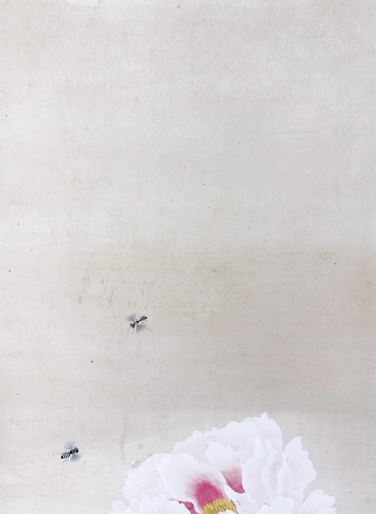 岡田 麗水 【富貴花】 掛軸 詳細写真