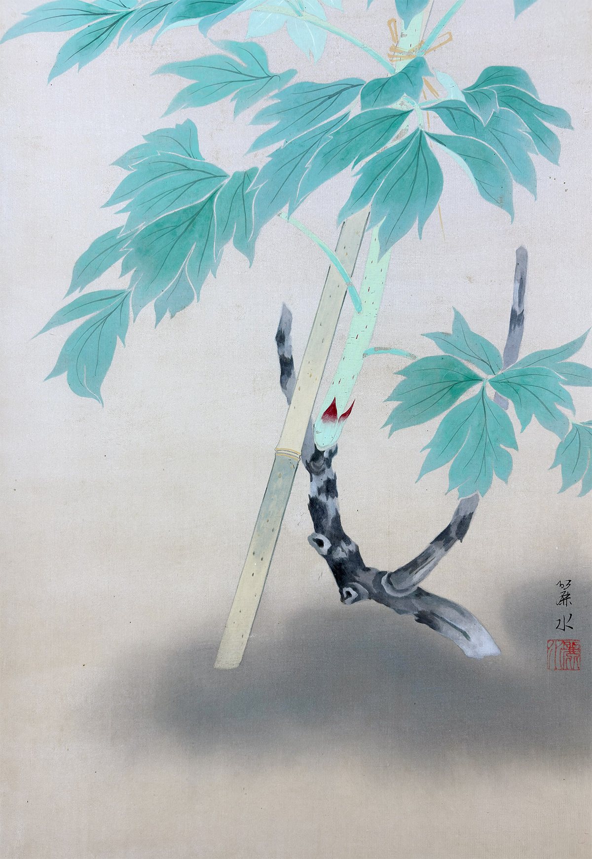 岡田 麗水 【富貴花】 掛軸 詳細写真